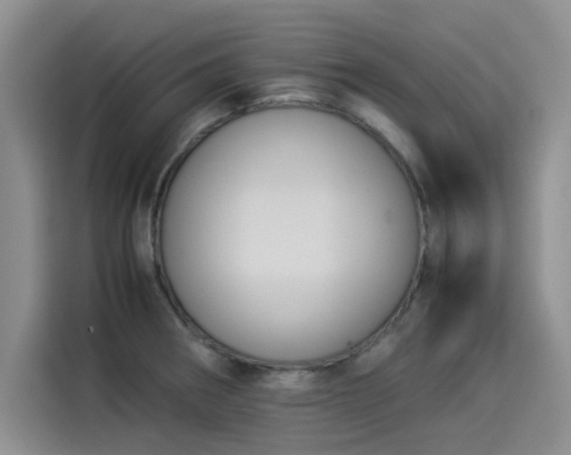 X0000114231282200910161602