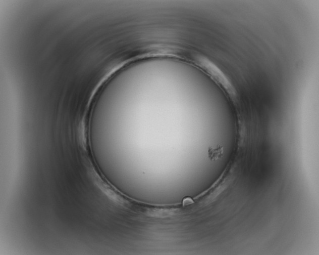 X0000114231284200910161602