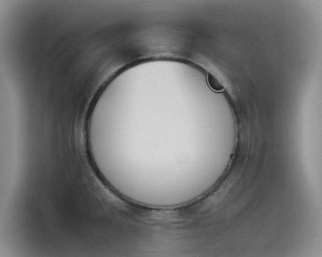 X0000114231285200910161602