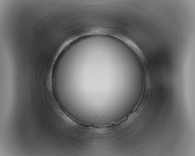X0000114231288200910161602