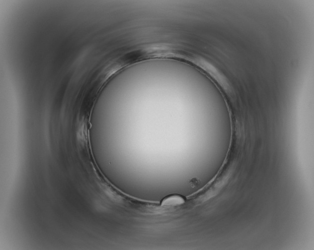 X0000114231289200910161602