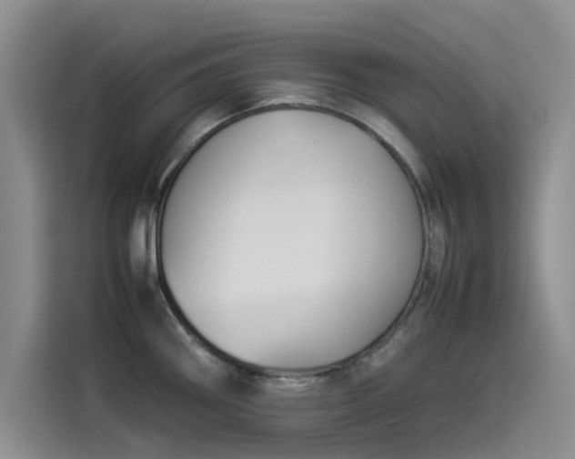 X0000114231290200910161602