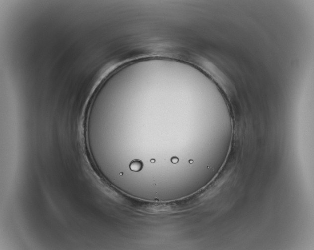 X0000114231291200910161602