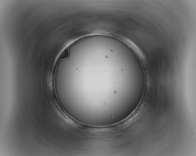 X0000114231292200910161602