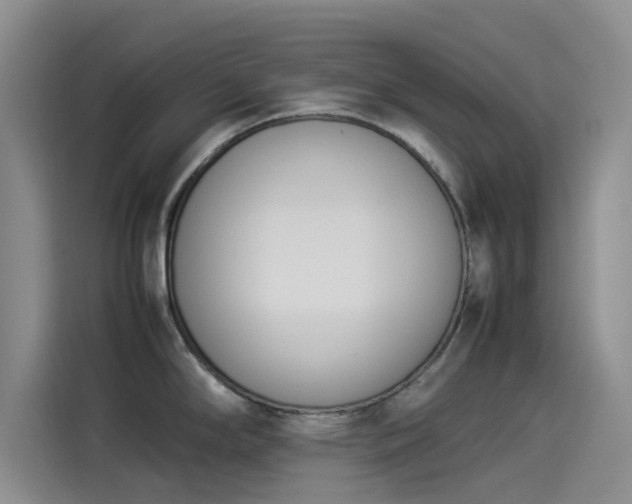 X0000114231294200910161602