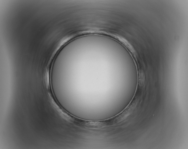 X0000114231295200910161602