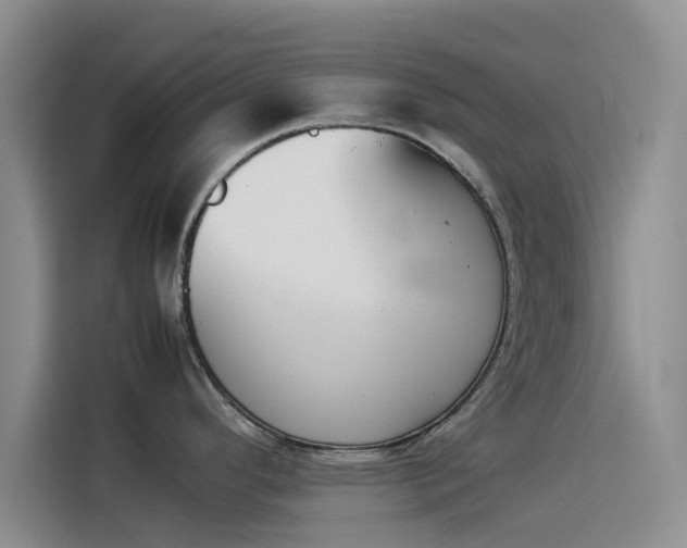 X0000114231296200910161602