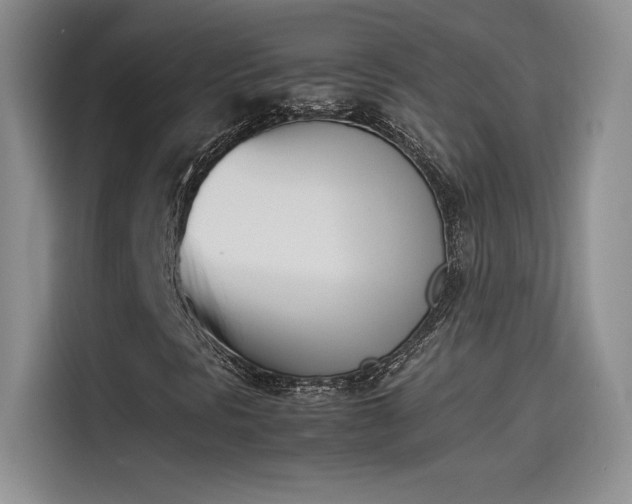 X0000114231297200910161601