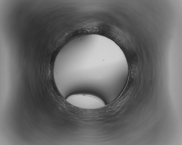 X0000114231298200910161601