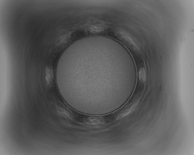 X0000114231299200910161601