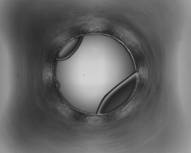 X0000114231300200910161601