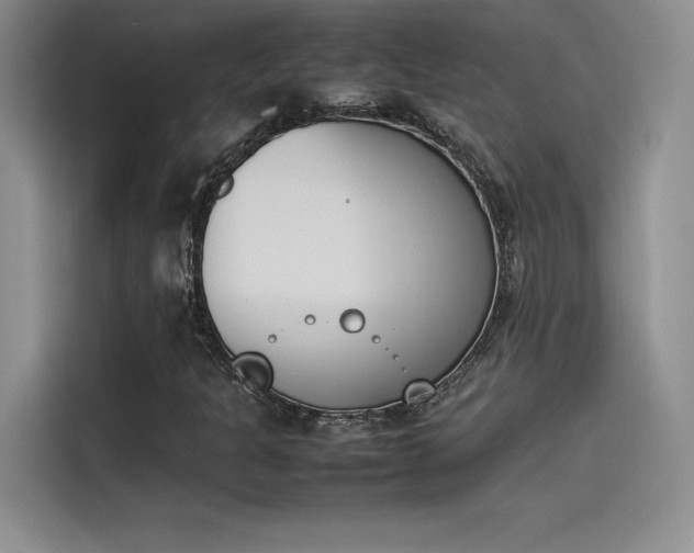 X0000114231301200910161601