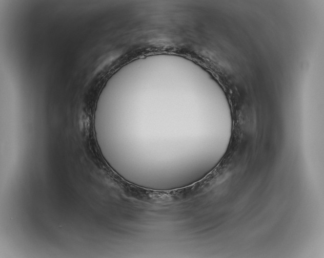 X0000114231302200910161601