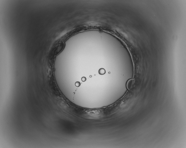 X0000114231303200910161601