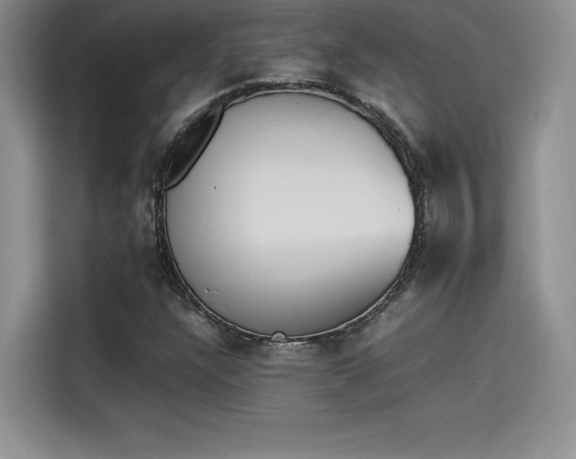 X0000114231304200910161601