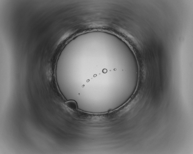 X0000114231306200910161601