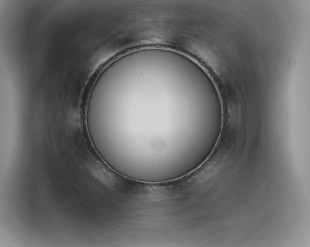 X0000114231308200910161602