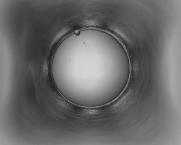 X0000114231309200910161602
