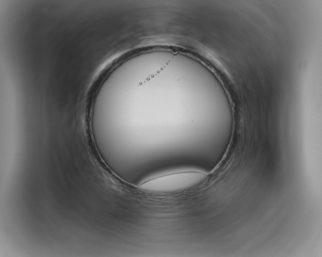 X0000114231312200910161602