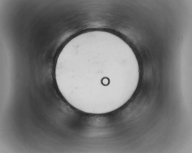 X0000114231314200910161602