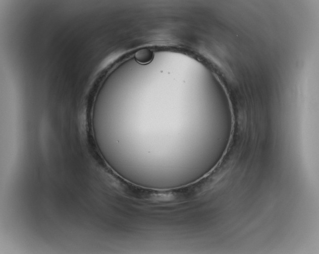 X0000114231315200910161602