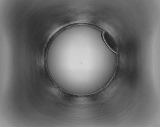 X0000114231316200910161602