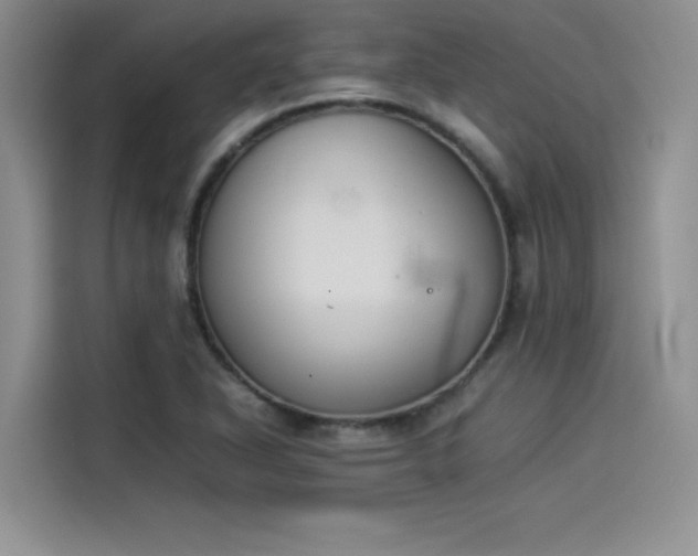 X0000114231318200910161602