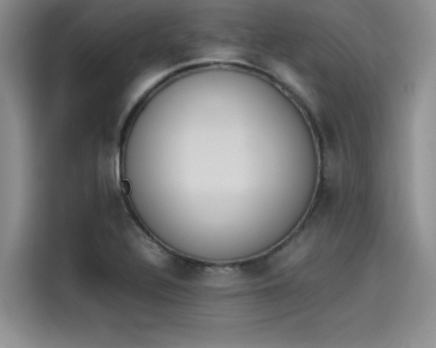 X0000114231320200910161602