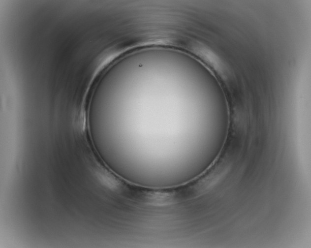 X0000114231324200910161602