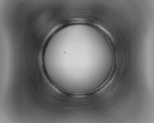 X0000114231325200910161602