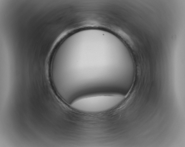 X0000114231326200910161602