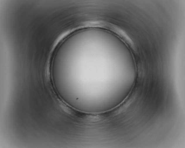 X0000114231328200910161602