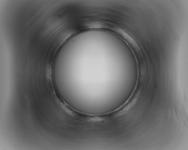 X0000114231329200910161602