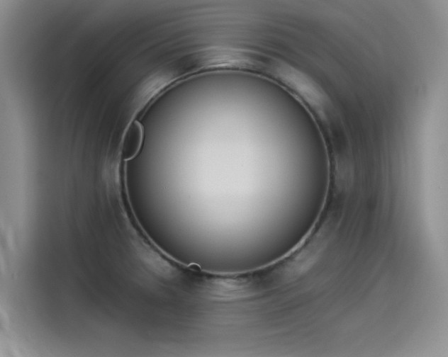 X0000114231330200910161602