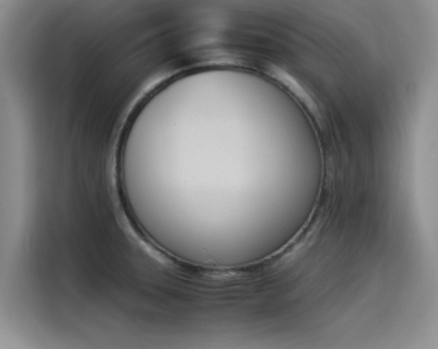 X0000114231331200910161602