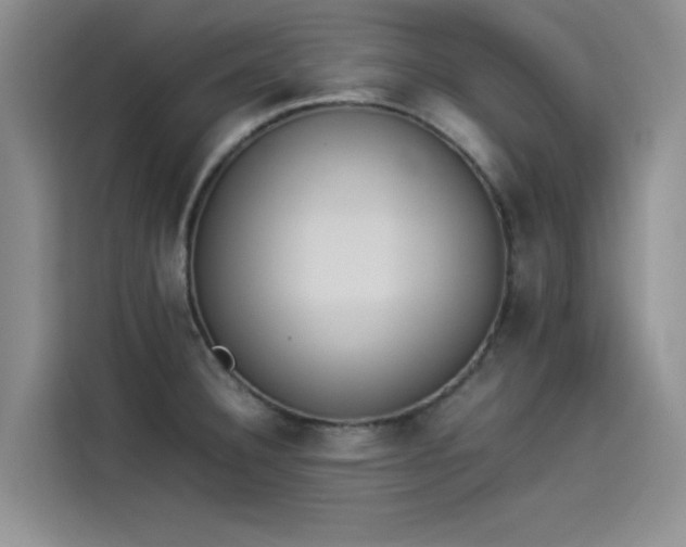 X0000114231332200910161602