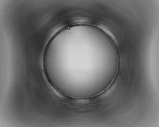X0000114231333200910161602