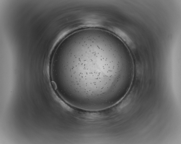 X0000114231334200910161602