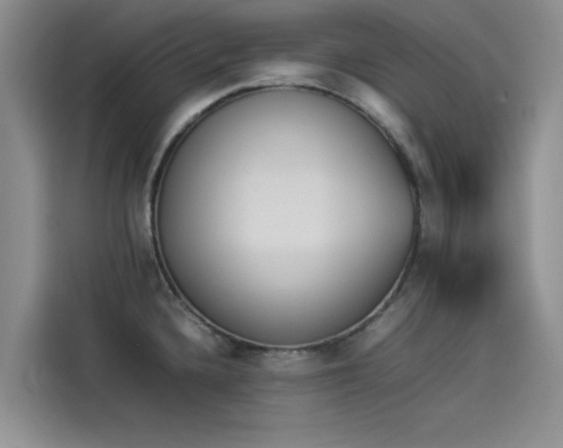 X0000114231336200910161602