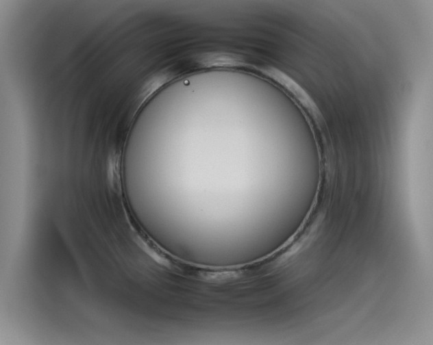 X0000114231337200910161602