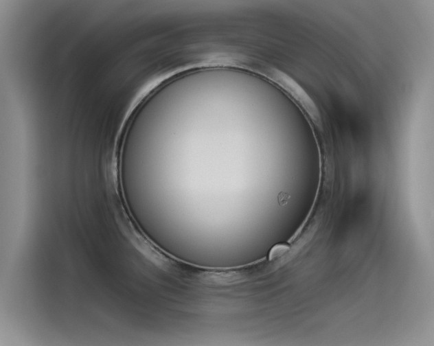 X0000114231340200910161602