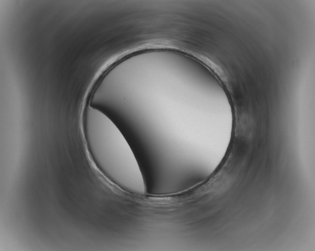 X0000114231342200910161602