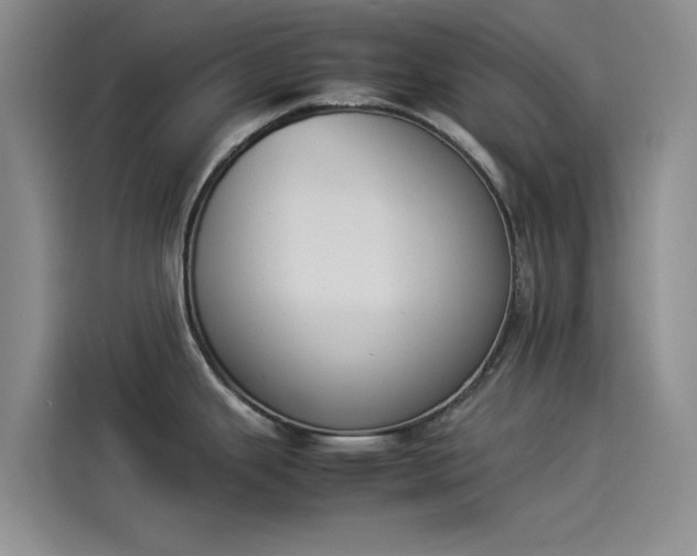 X0000114231343200910161602