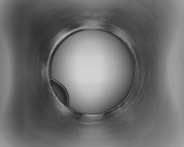 X0000114231344200910161602