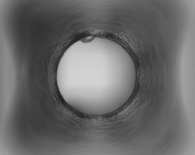 X0000114231345200910161601
