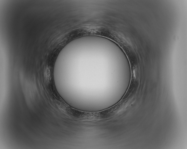 X0000114231347200910161601