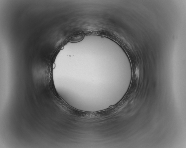 X0000114231348200910161601