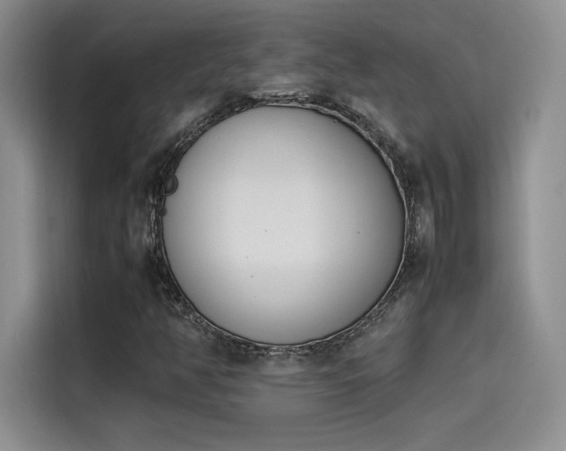 X0000114231350200910161601