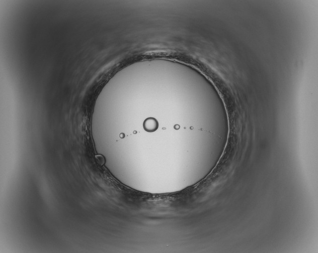 X0000114231351200910161601