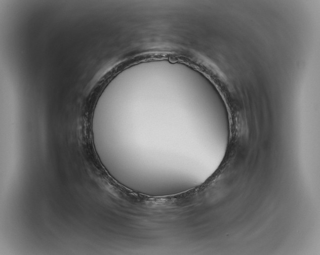 X0000114231352200910161601